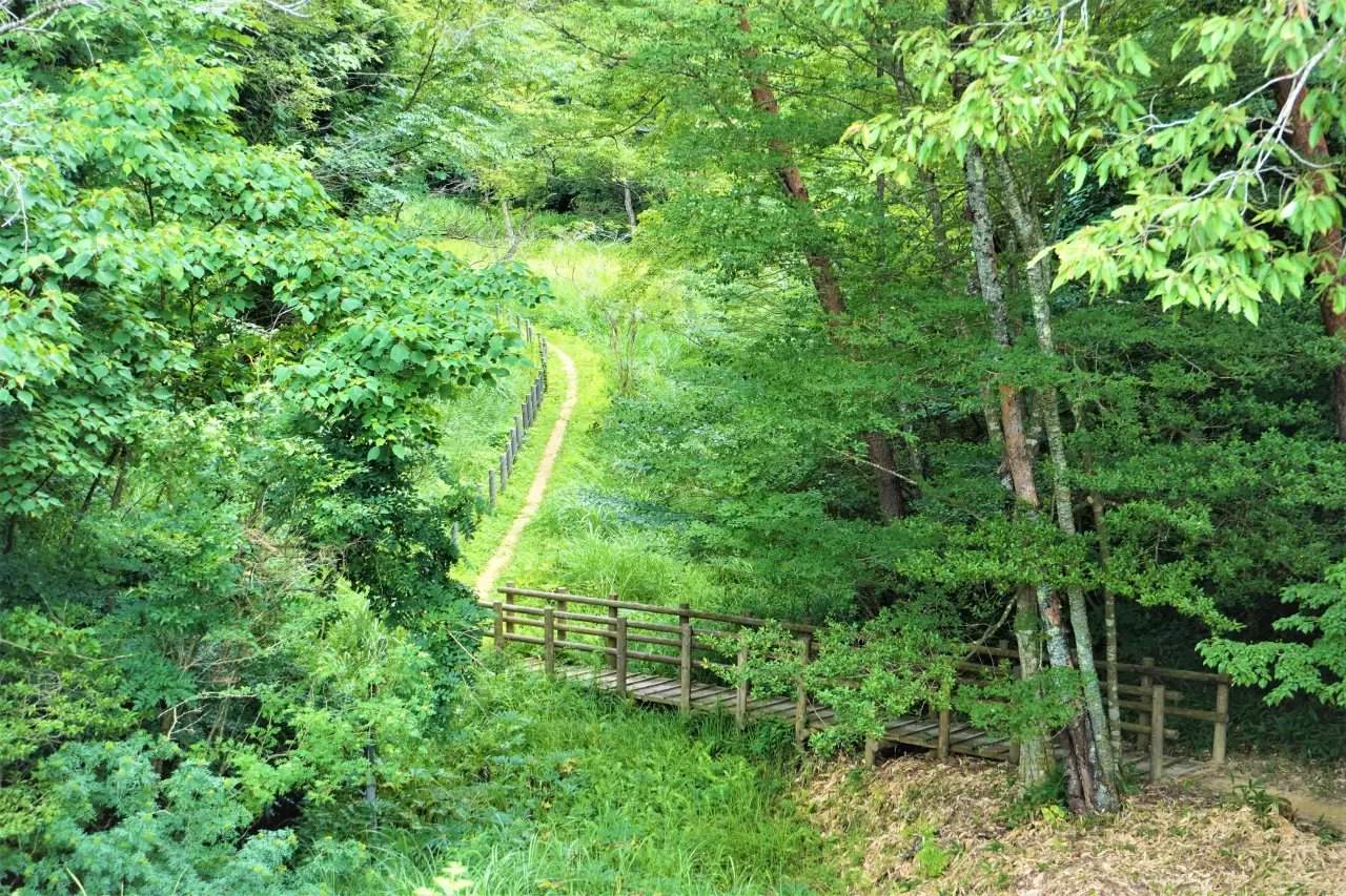 🏞️ 코이가쿠보 습원 이미지 4